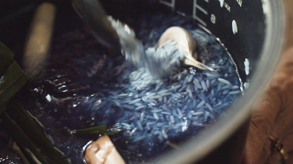 One Kind House : Editor